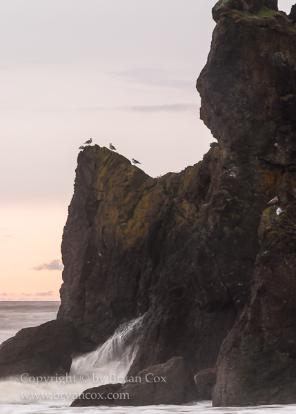 Image of Ruby Beach