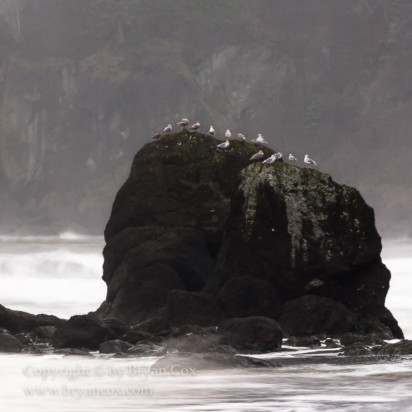 Image of Ruby Beach