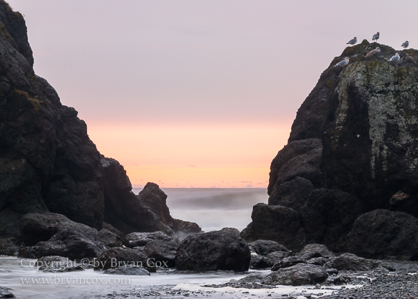 Image of Ruby Beach