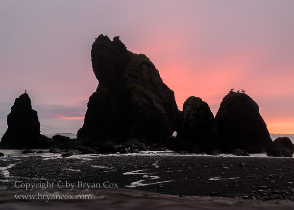 Image of Ruby Beach