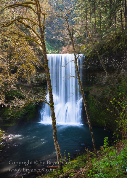 Image of Silver Falls State Park, Oregon