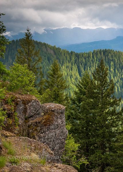 Image of U.S. National Forests