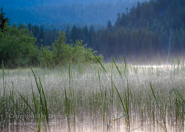 Image of Trillium Lake