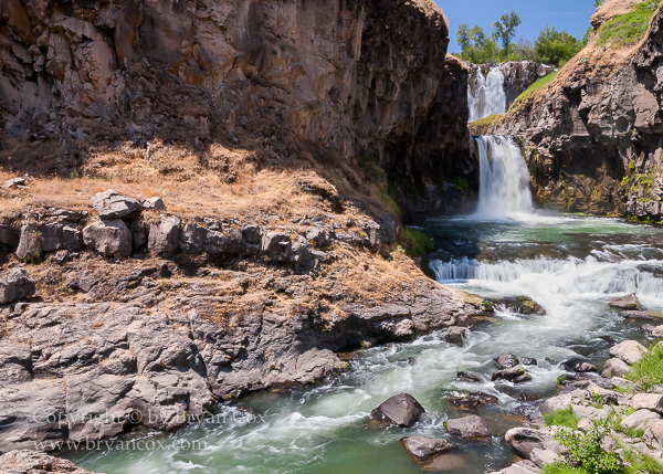 Image of White River Falls 