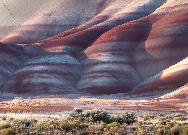 Image of Painted Hills