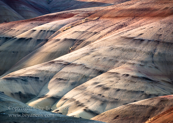 Image of Painted Hills