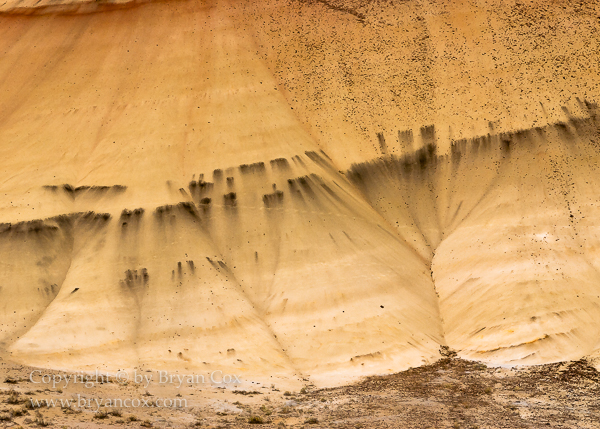 Image of Painted Hills