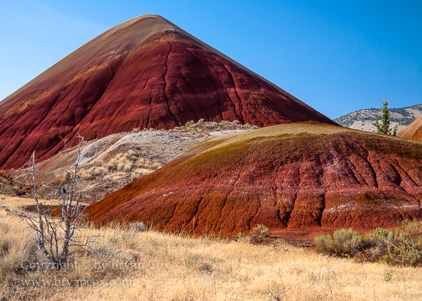 Image of Painted Hills