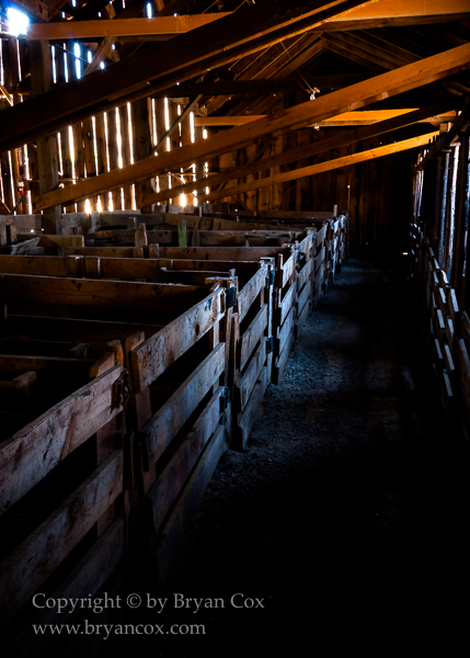 Image of Sheep barn interior