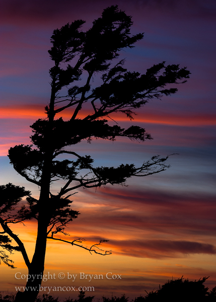Image of U.S. State Parks