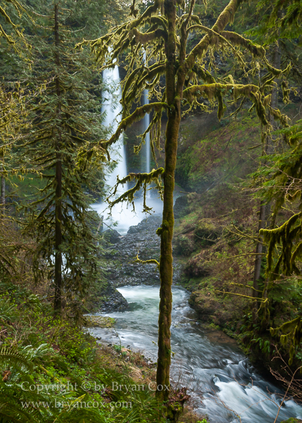 Image of North Falls
