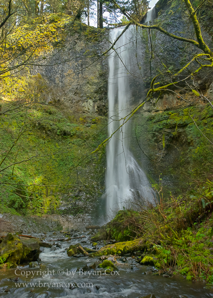 Image of Double Falls