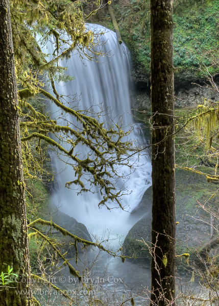 Image of Middle North Falls