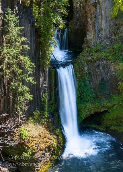 Image of Umpqua National Forest