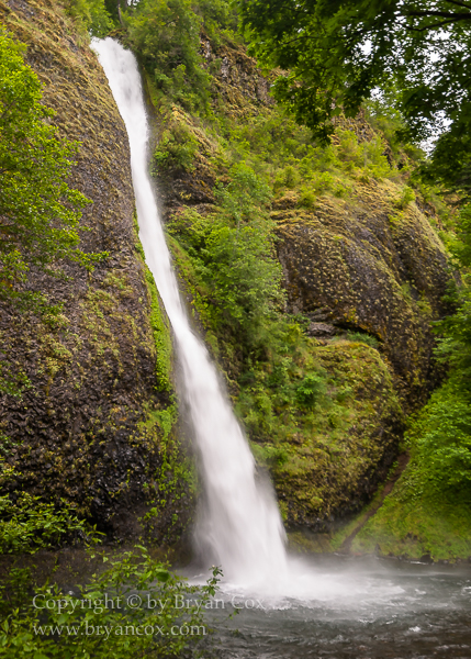 Image of Horsetail Falls