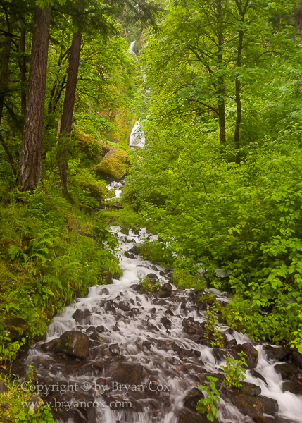Image of 