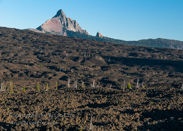 Image of Mt. Wilson