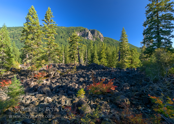 Image of 
