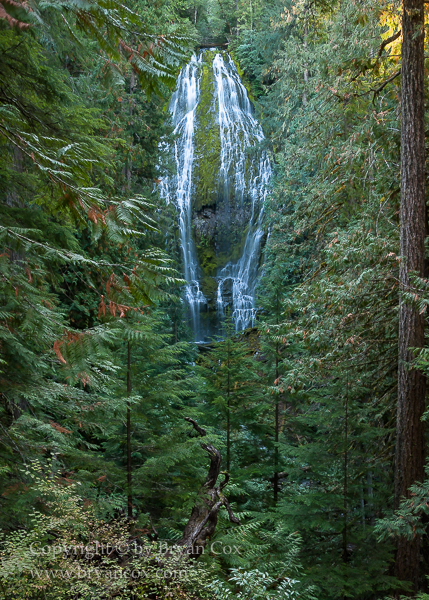 Image of Lower Proxy Falls