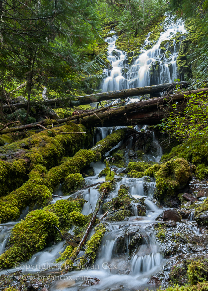 Image of Upper Proxy Falls