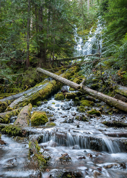 Image of Upper Proxy Falls 