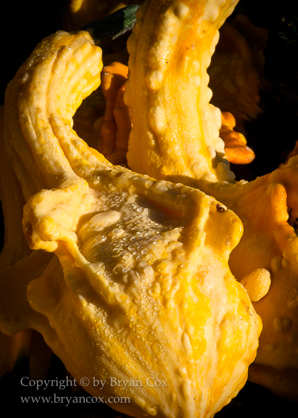 Image of 