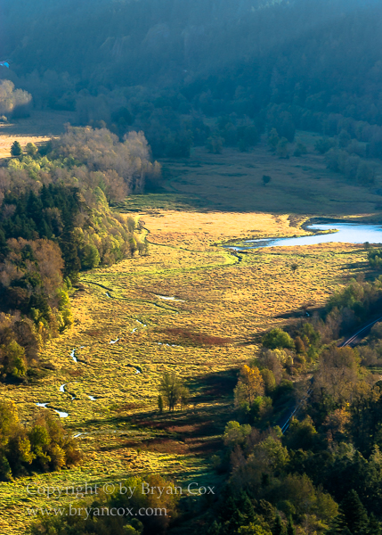 Image of Columbia River Bottomlands below Crown Point