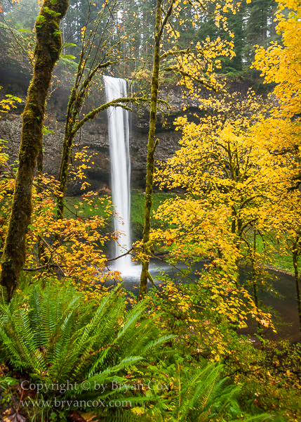 Image of South Falls