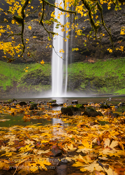 Image of South Falls