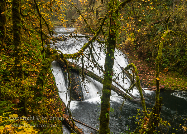 Image of Lower North Falls