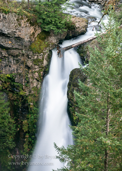 Image of 