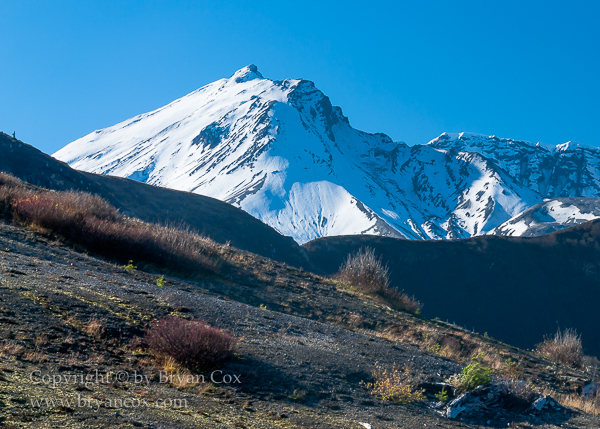 Image of The crater of Mount St. Helens, seen from Windy Ridge