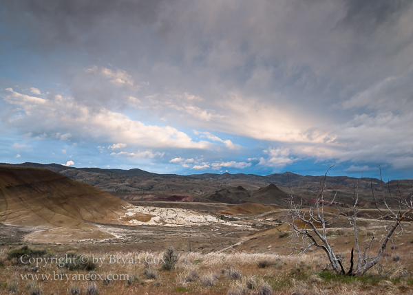 Image of Painted Hills