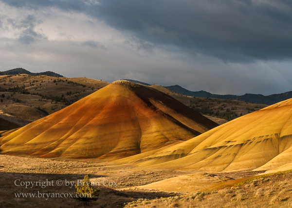 Image of Painted Hills