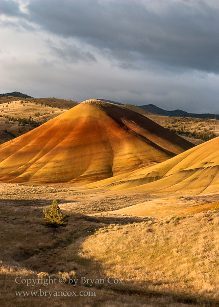 Image of Painted Hills