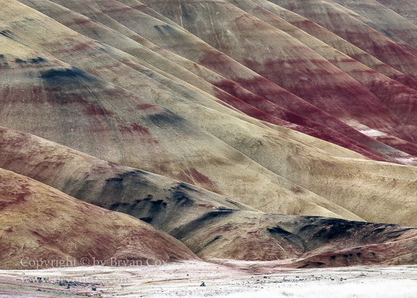 Image of Painted Hills