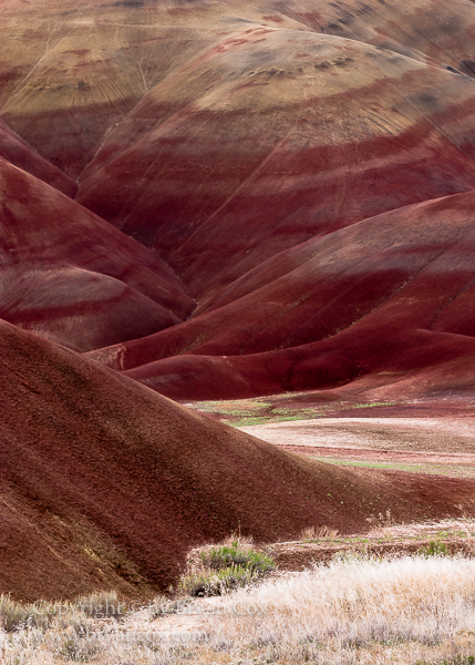 Image of Painted Hills