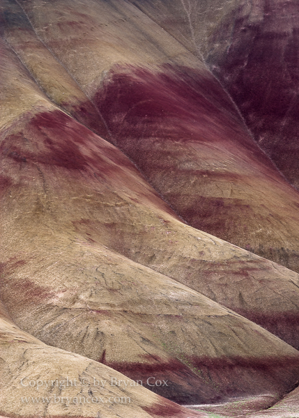 Image of Painted Hills