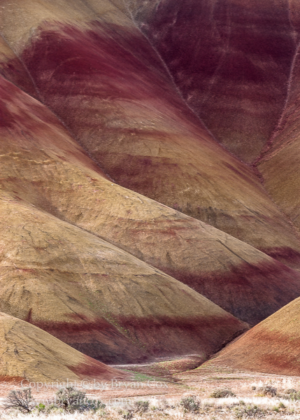 Image of Painted Hills