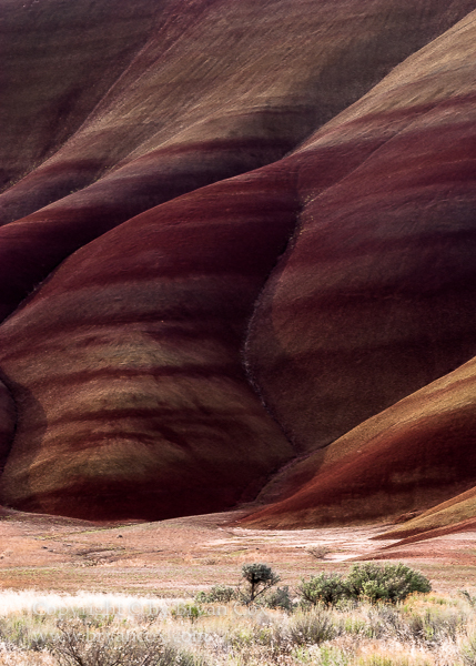 Image of Painted Hills