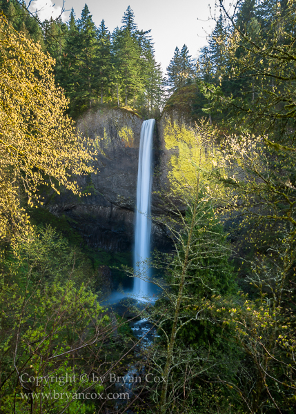 Image of Latourell Falls