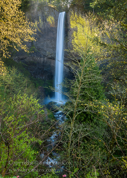 Image of Latourell Falls