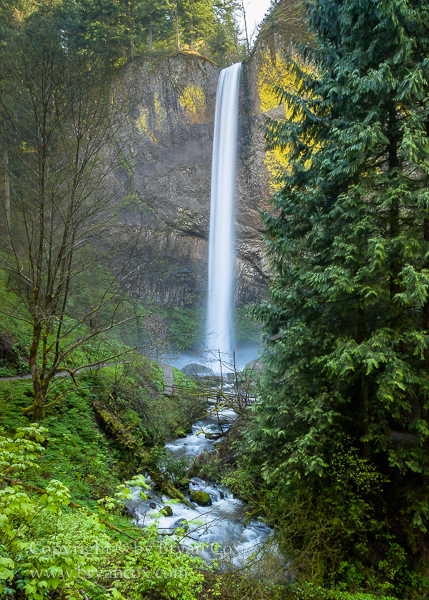 Image of Latourell Falls