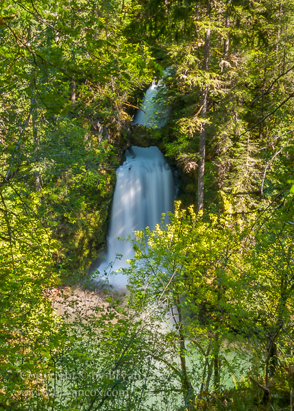 Image of Curly Creek Falls