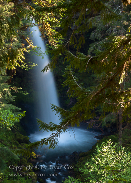 Image of Miller Creek Falls