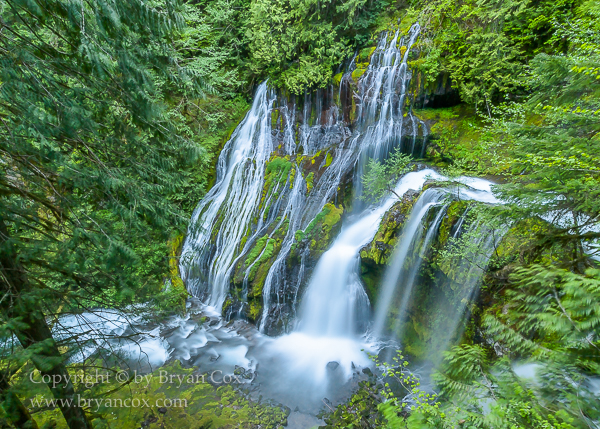 Image of Panther Creek Falls
