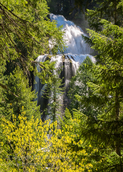 Image of Falls Creek Falls