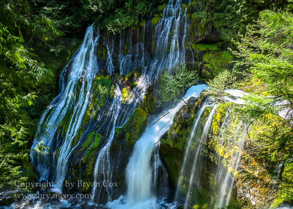 Image of Panther Creek Falls