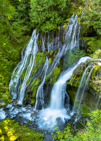 Image of Panther Creek Falls