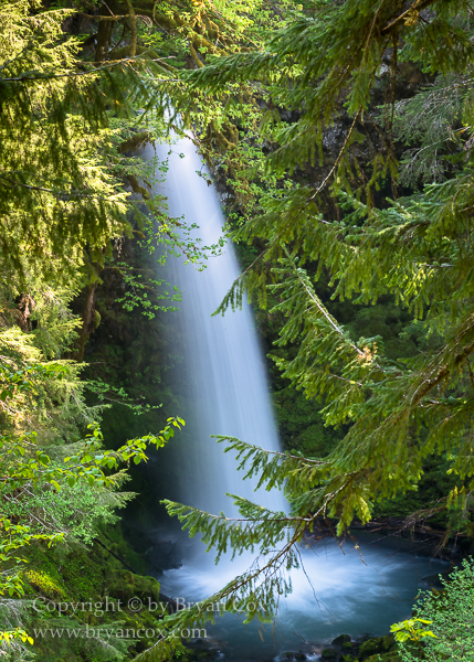 Image of Miller Creek Falls